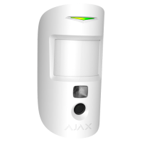 Detector PIRCAM